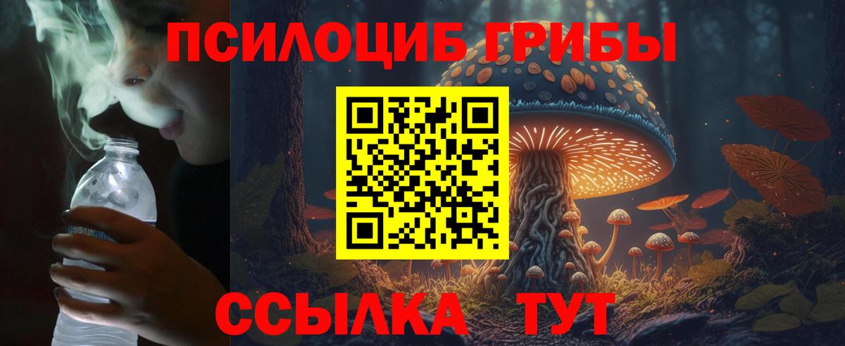 Псилоцибиновые грибы мухоморы  Галлюциногенные грибы Psilocybe  Ковров  Вход с VPN 